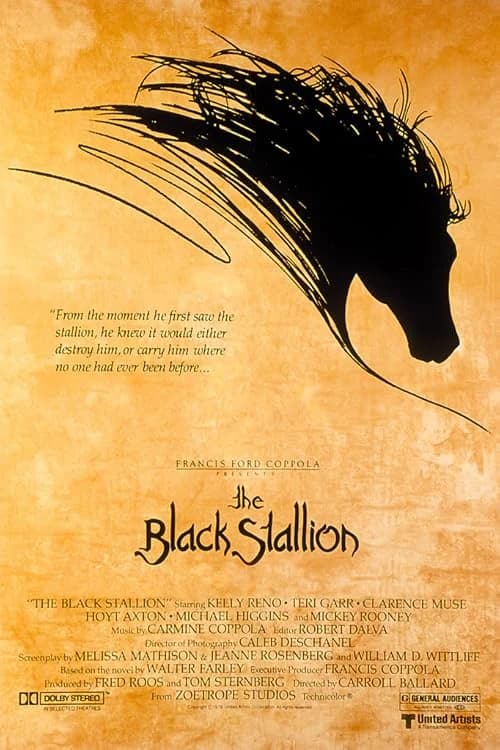 The Black Stallion film posteri